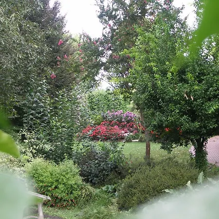 Agriturismo Demetra Bed and breakfast *